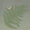 fanfiction icon