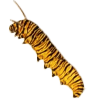Jenny Fern's Library icon
